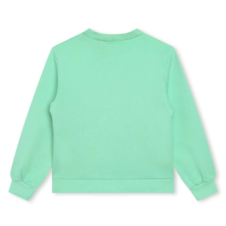 BILLIEBLUSH Girls' Green Fleece Sweatshirt - Cozy Pullover for Kids